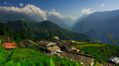 Nepal Botantical Trips